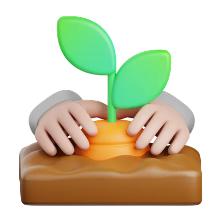 Cultiver des plantes  3D Icon