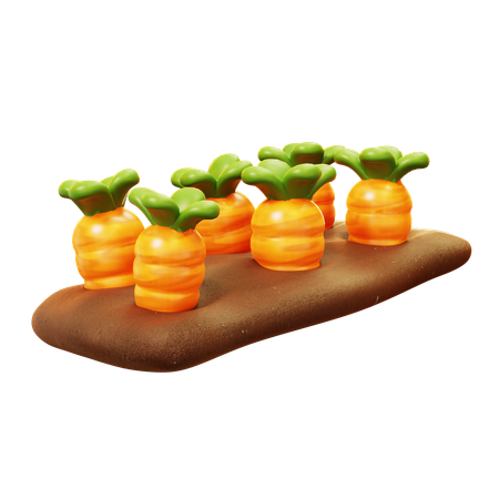 Cultivo de cenoura  3D Icon