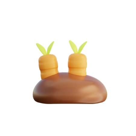 Cultivo de cenoura  3D Illustration