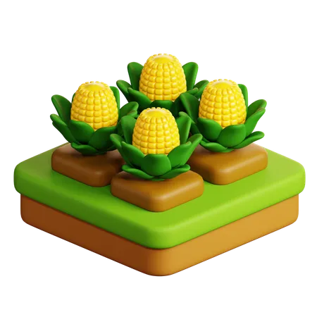 Cultivo de milho  3D Icon