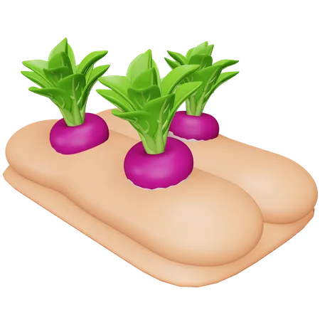 Cultivo de nabo  3D Icon