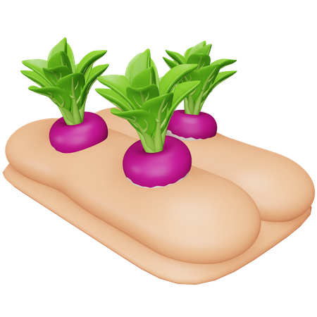 Cultivo de nabos  3D Icon