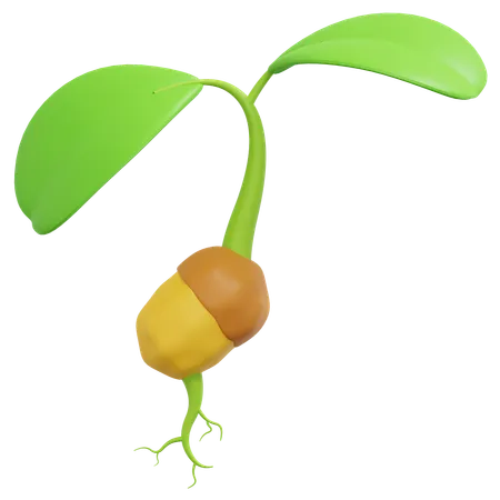 Semilla de planta en crecimiento  3D Icon