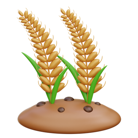 Cultivo de trigo  3D Icon