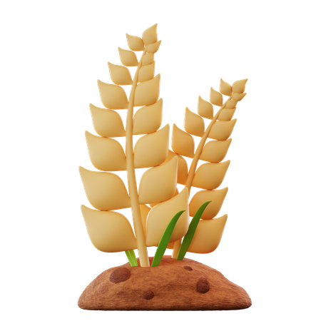Cultivo de trigo  3D Icon