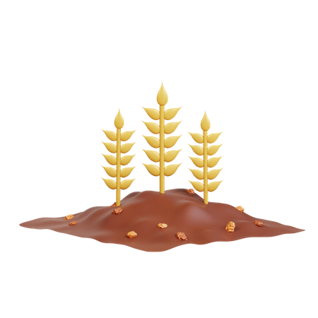 Cultivo de trigo  3D Icon