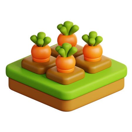 Cultivo de zanahoria  3D Icon