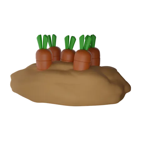 Zanahorias en crecimiento  3D Icon