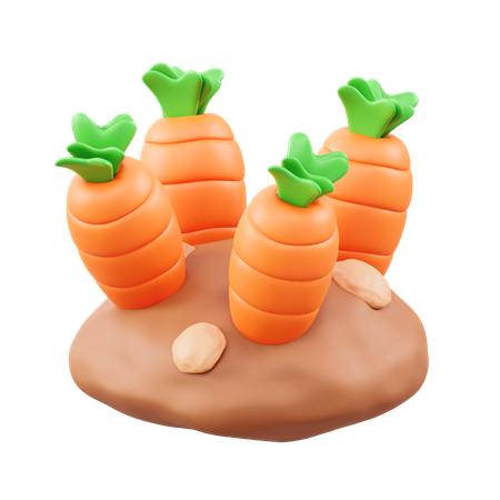 Culture de carottes  3D Icon