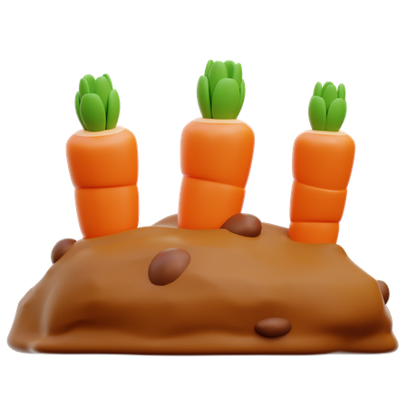 Culture de carottes  3D Icon