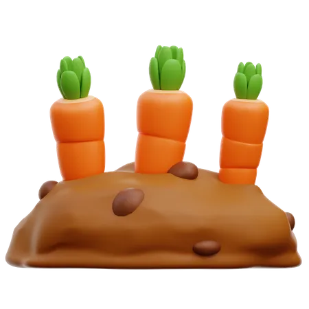 Culture de carottes  3D Icon