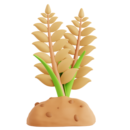 Culture du blé  3D Icon