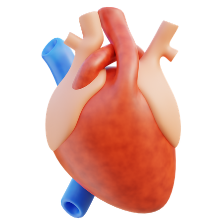 Cuore  3D Icon