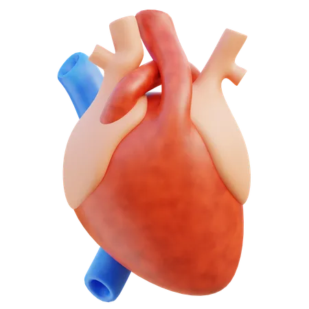 Cuore  3D Icon