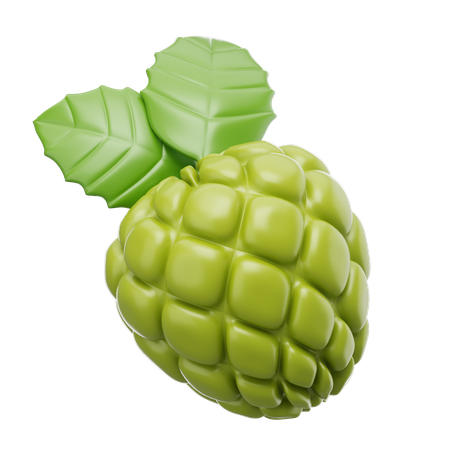 Custard Apple  3D Icon