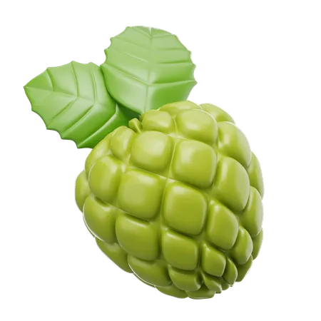 Custard Apple  3D Icon