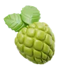 Custard Apple