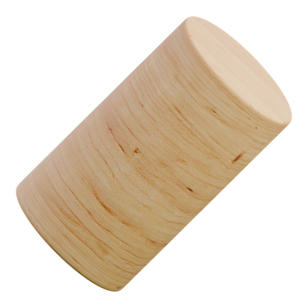 Cylinder Wooden Abstract Shape  3D Icon