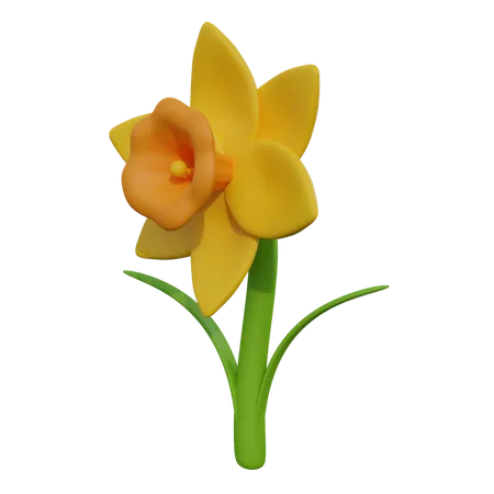 Daffodil  3D Icon