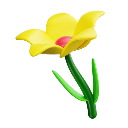 Daffodil  3D Icon