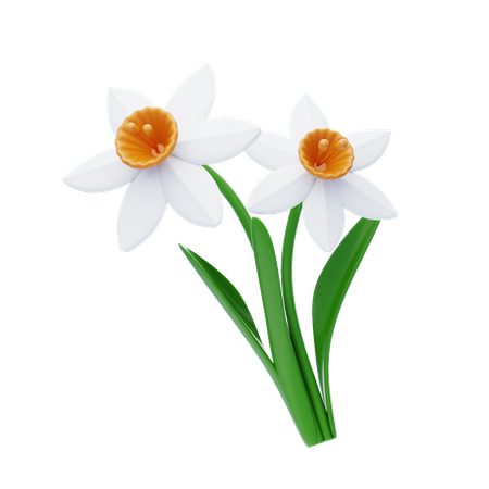 Daffodil  3D Icon