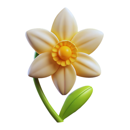 Daffodil flower  3D Icon