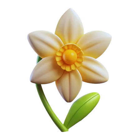 Daffodil flower  3D Icon