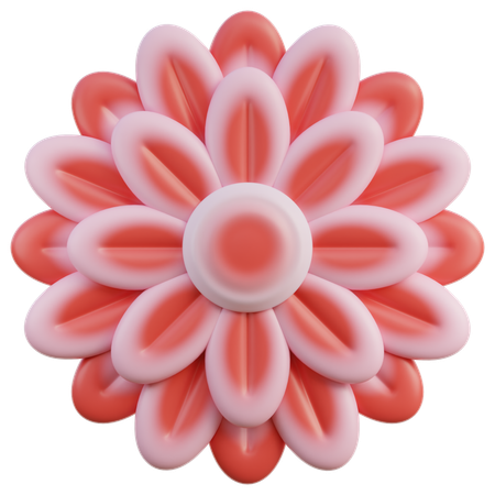 Dahlia  3D Icon