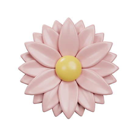 Dahlia  3D Icon