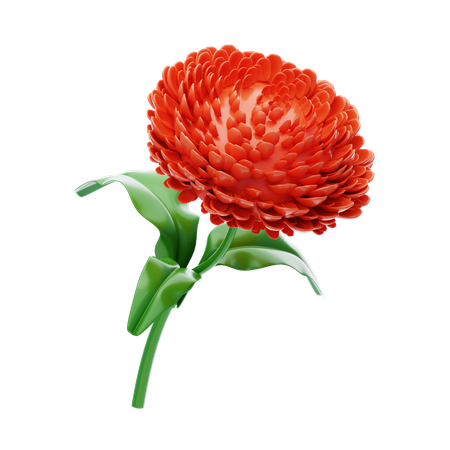 Dahlia  3D Icon