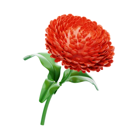 Dahlia  3D Icon