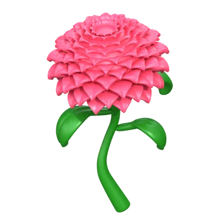 Dahlia Flower  3D Icon
