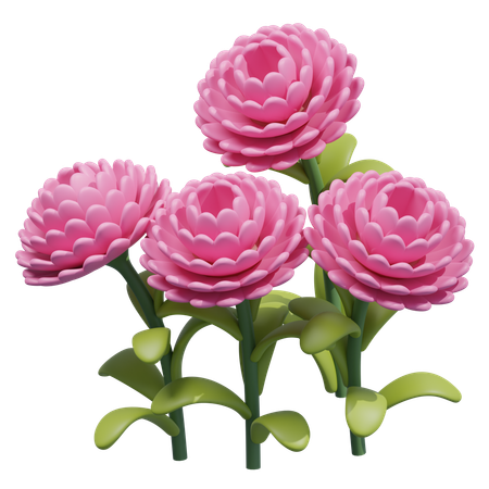 Dahlia Flower  3D Icon