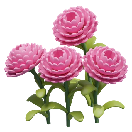 Flower 3 D Illustrations 3D Icon