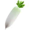 Daikon Radish