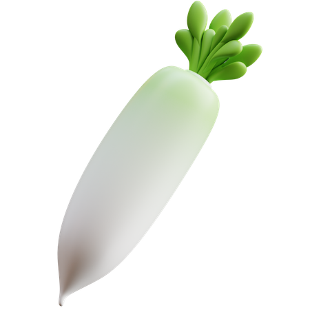 Daikon-Rettich  3D Icon