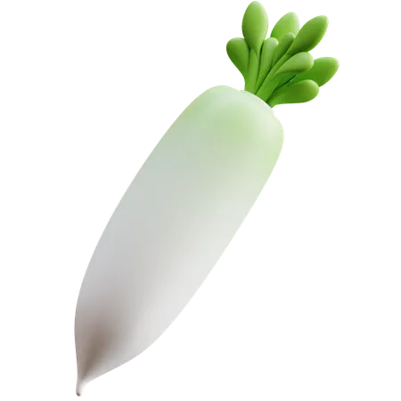 Daikon-Rettich  3D Icon