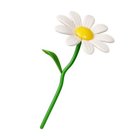 Daisies Flowers  3D Icon