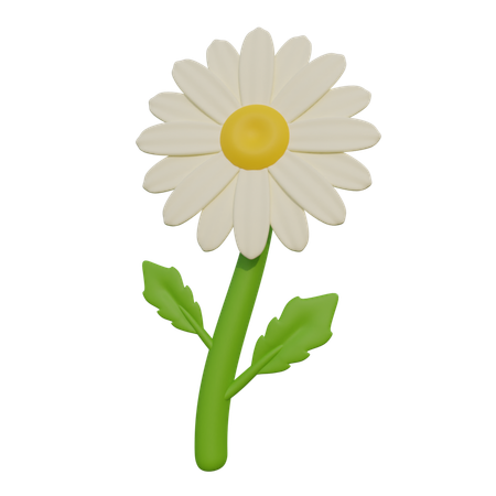 Daisy  3D Icon