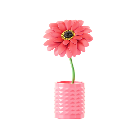 Daisy  3D Icon