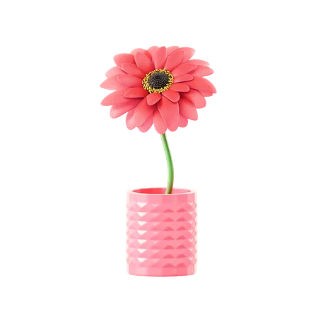 Daisy  3D Icon