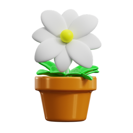 Daisy  3D Icon