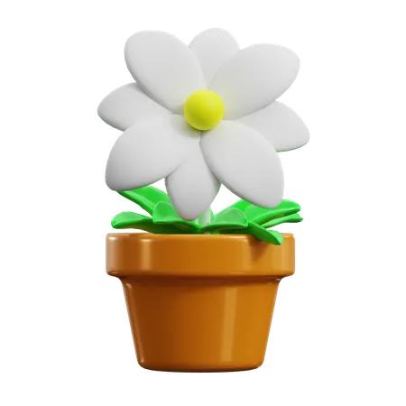 Daisy  3D Icon