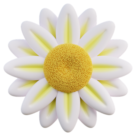 Daisy  3D Icon