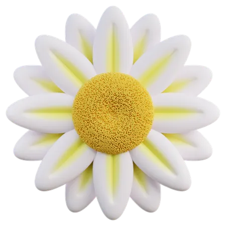 Daisy  3D Icon