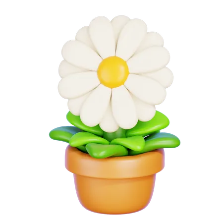 Daisy  3D Icon