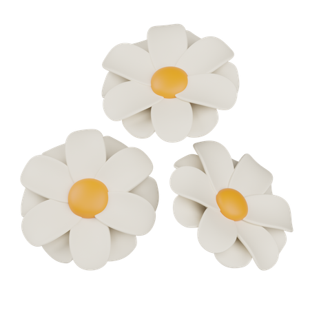 Daisy  3D Icon