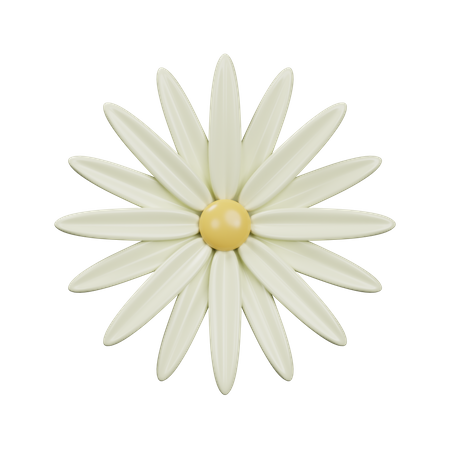 Daisy  3D Icon