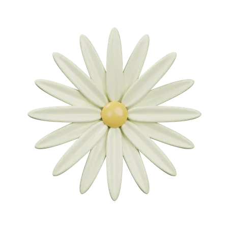 Daisy  3D Icon