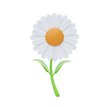 Daisy  3D Icon